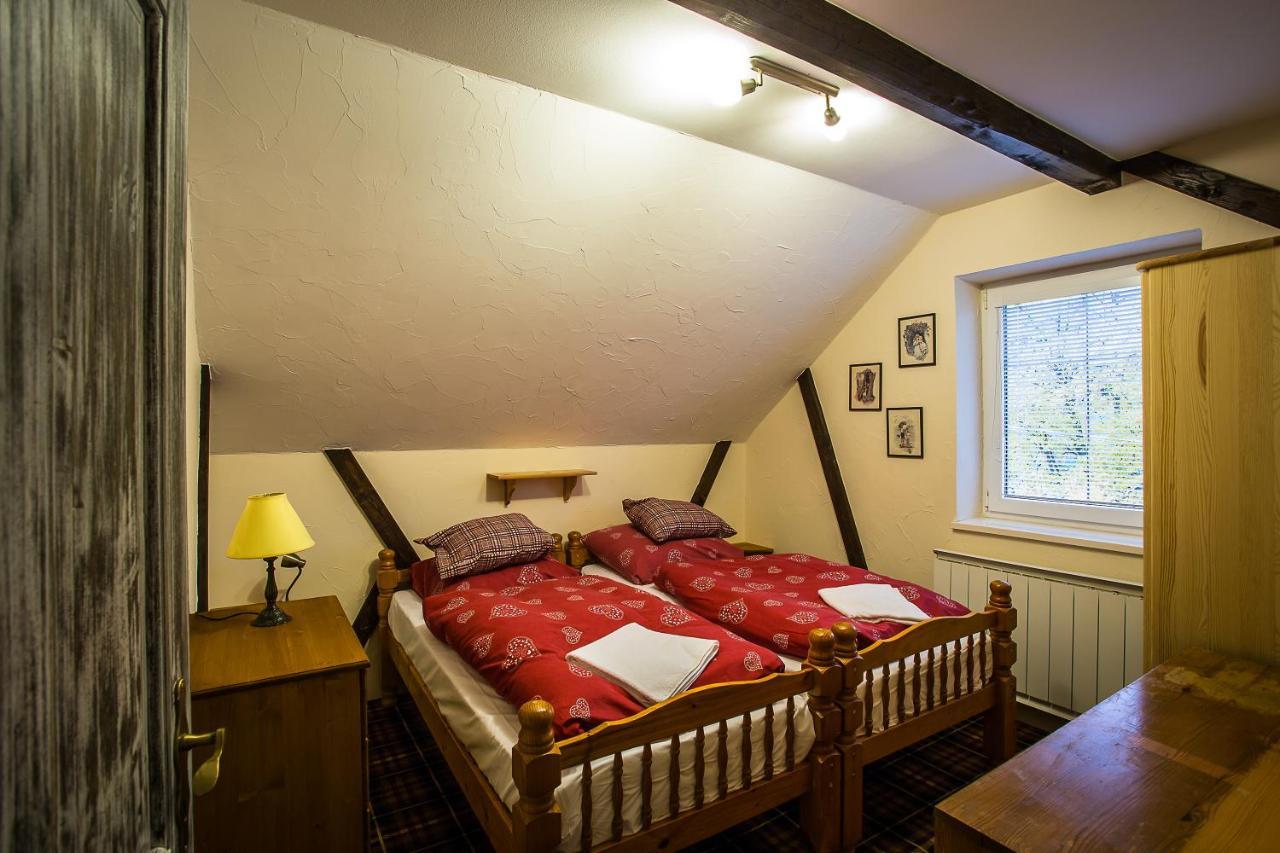 Cactus Snezienka Regetovka Quarto foto